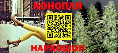 сатива Беслан