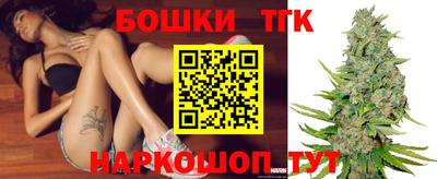 сатива Беслан