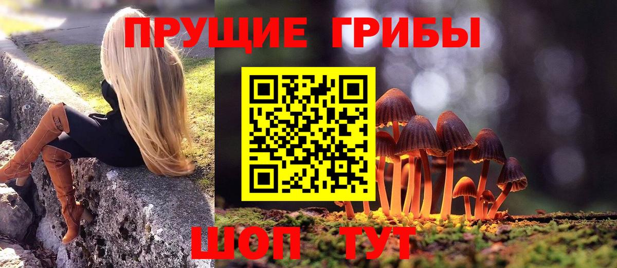 Псилоцибиновые грибы Psilocybe Камышин