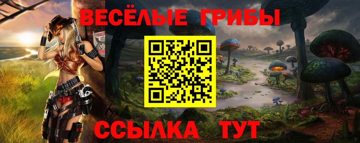 Камышин  Галлюциногенные грибы Magic Shrooms  Галлюциногенные грибы мухоморы  Вход с VPN 